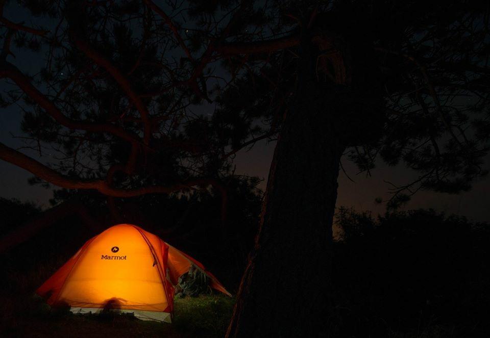 Marmot Limelight